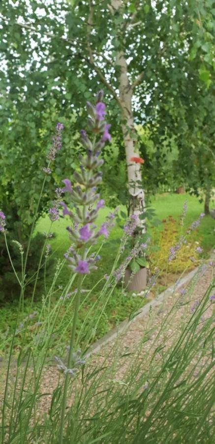 Green Garden Lohovo Bihać Екстериор снимка