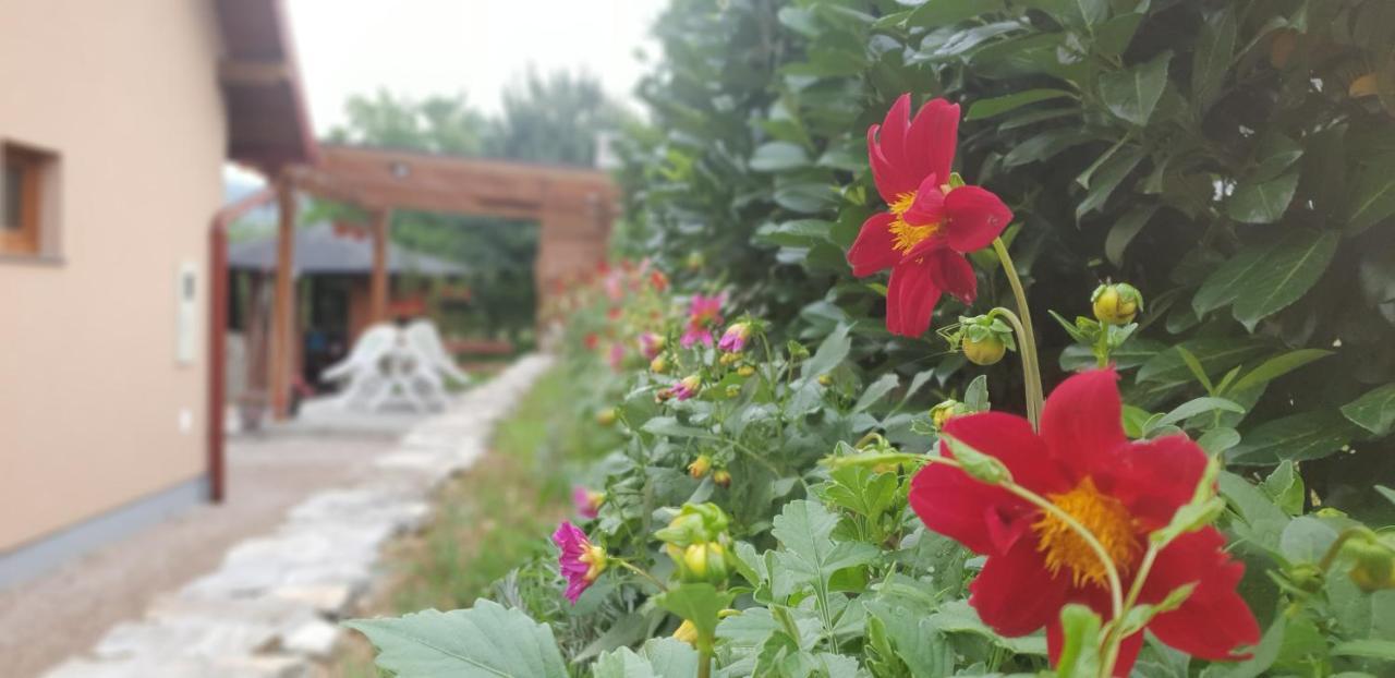 Green Garden Lohovo Bihać Екстериор снимка
